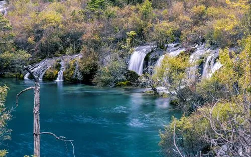 高效可靠性